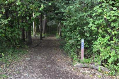 Entrance to the Trillium natural surface trail